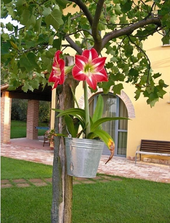 B&B Il Casolare Di Bonci Santa Maria a Monte Exterior foto